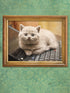 I COULD PEE ON THIS: AND OTHER POEMS BY CATS - MARCIULIANO. FRANCESO